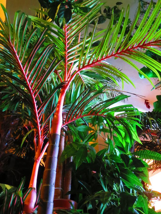 Stella Resort Naha Dış mekan fotoğraf